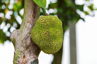 消息称《街头涂鸦》新作为开放世界服务型游戏